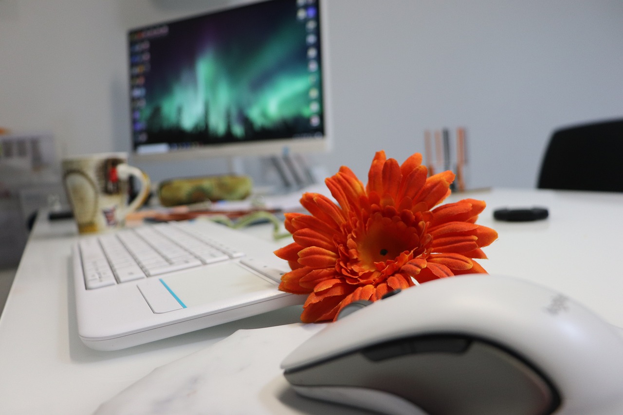 person laptop home office